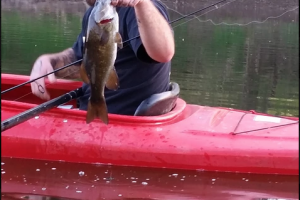 Fishing the schuylkill river for smallmouth Top Water Trips Kayak Rental