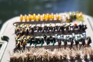 Fly Fishing Consultation with Top Water Trips in Pennsylvania