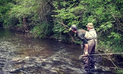 Top Water Trips during our Fly Fishing Lesson for Trout on French Creek