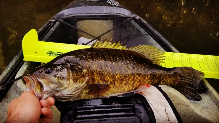 Schuylkill River Fishing Tips