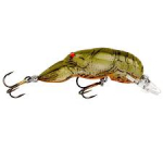 Rebel Crayfish from Schuylkil River Fishing Tips with Top Water Trips