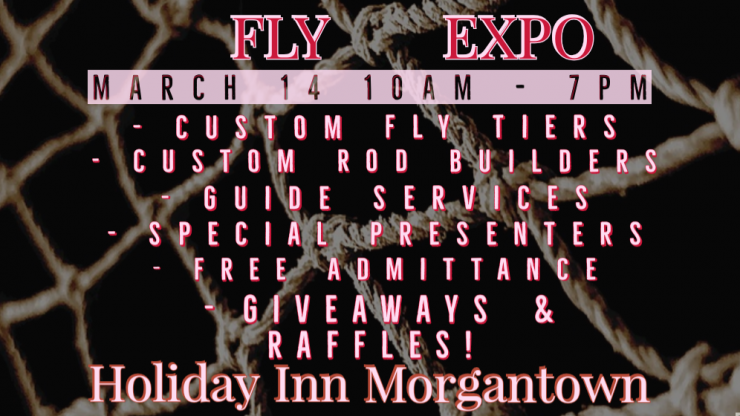 SEPA Fly Expo 2020
