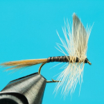 Ginger Quill- Fly FIshing the Little Schuylkill with tips for Fishing Charter Top Water Trips, LLC