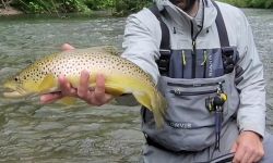 Guided Fly Fishing Trips & Lessons in Pennsylvania with Top Water Trips